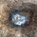 Ecometrica