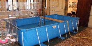 Prova di carico ad acqua