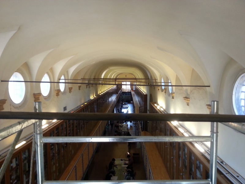 Rilievo frequenza fondamentale tiranti
